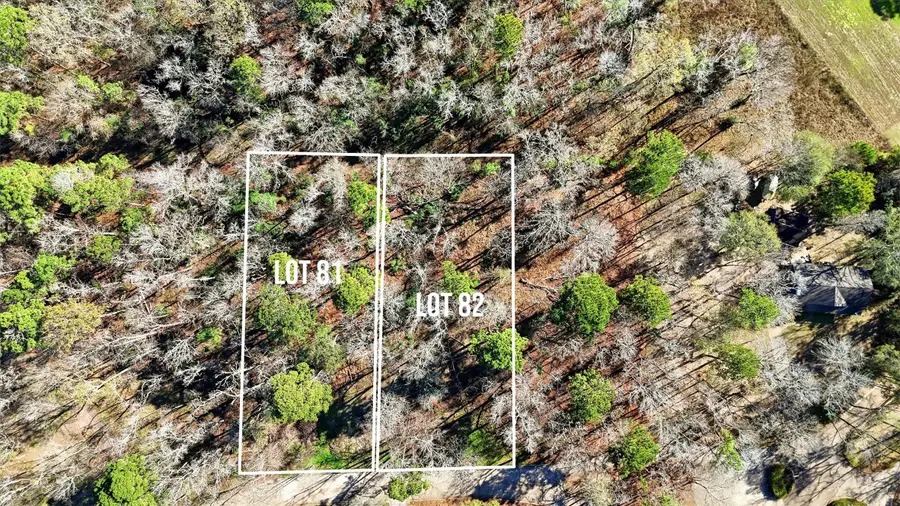 Lots 81 & 82 Lake Oaks Circle, Coldspring, TX 77331 - Image #3