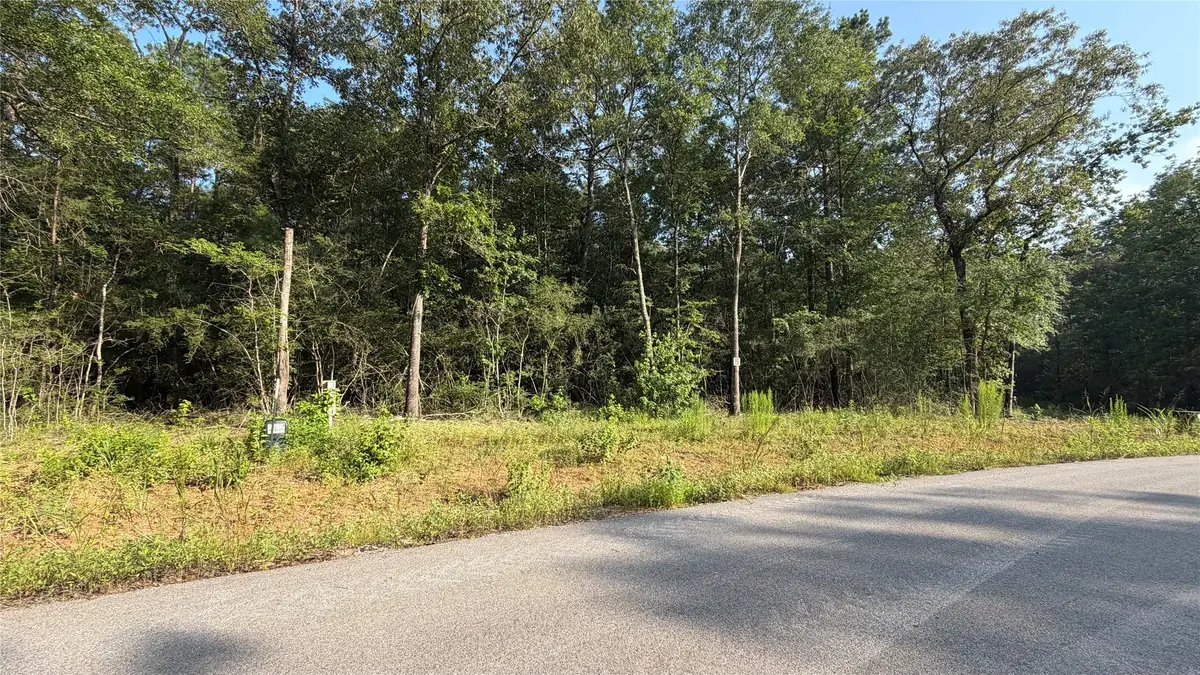 209 County Road 6311, Dayton, TX 77535 - #1