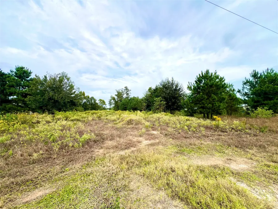 2091 County Road 3550, Cleveland, TX 77327 - #3