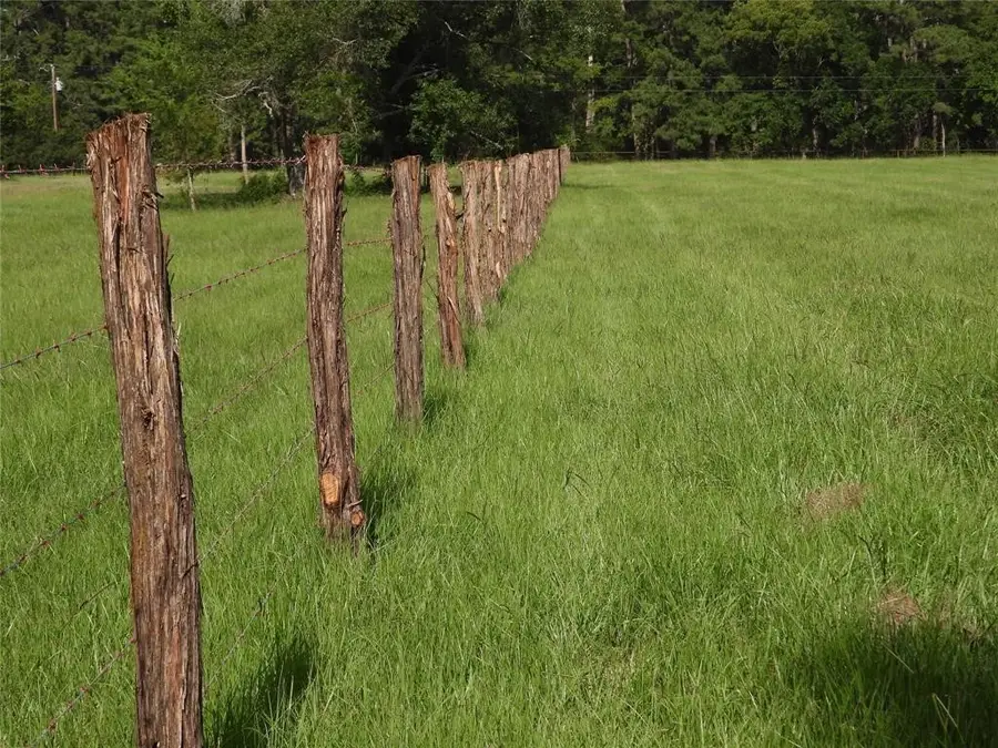 18855 Bethel Rd, Richards, TX 77873 - #3