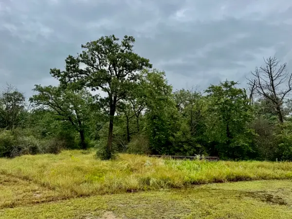 195 Sadie Lane, Round Top, TX 78954
