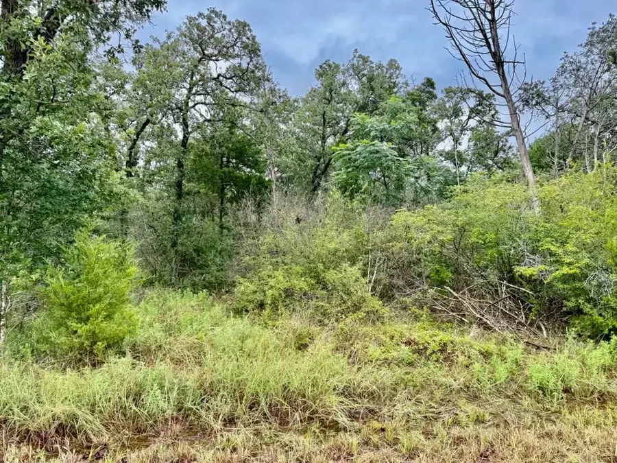195 Sadie Lane, Round Top, TX 78954 - #3