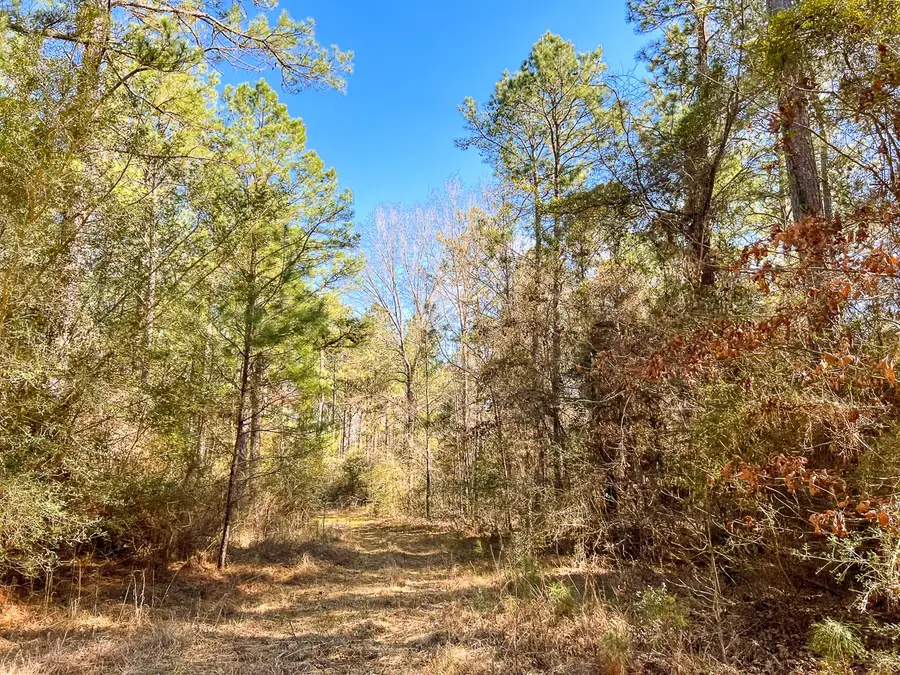 14 Union Springs Road, Corrigan, TX 75939 - #2