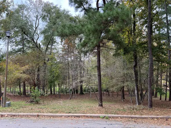 2019 E Lake Drive, Huntsville, TX 77340