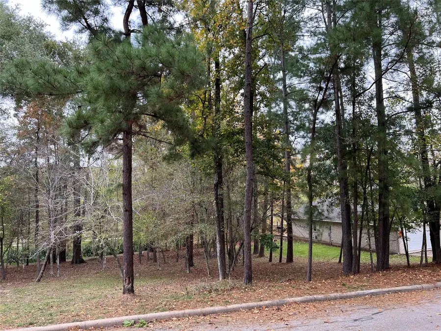 2019 E Lake Drive, Huntsville, TX 77340 - #2