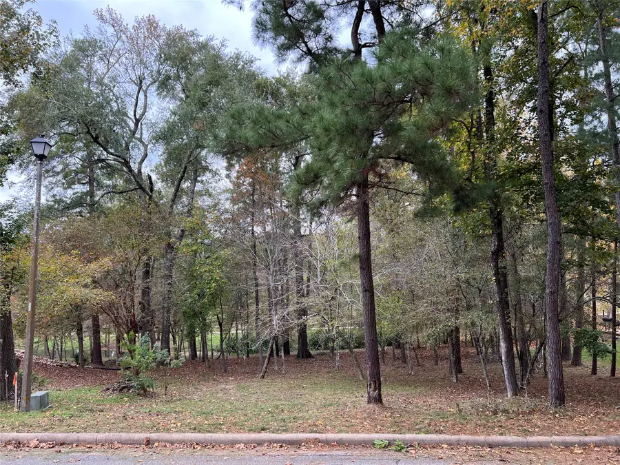 2019 E Lake Drive, Huntsville, TX 77340 - #3