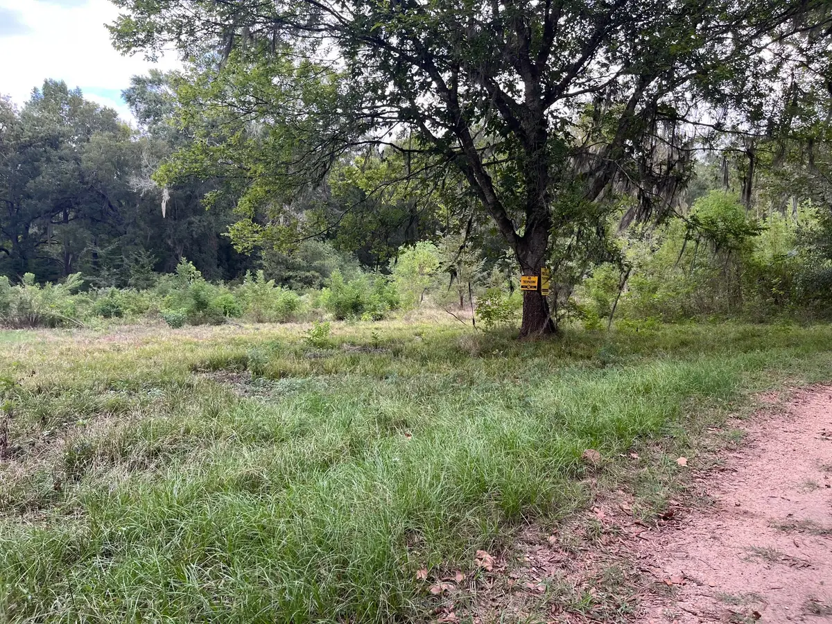 0 N Francies, Shepherd, TX 77371 - #1
