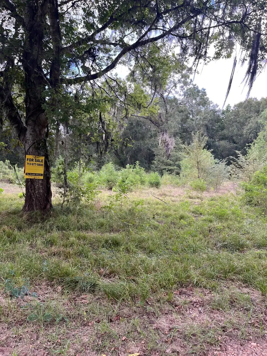 0 N Francies, Shepherd, TX 77371 - #2