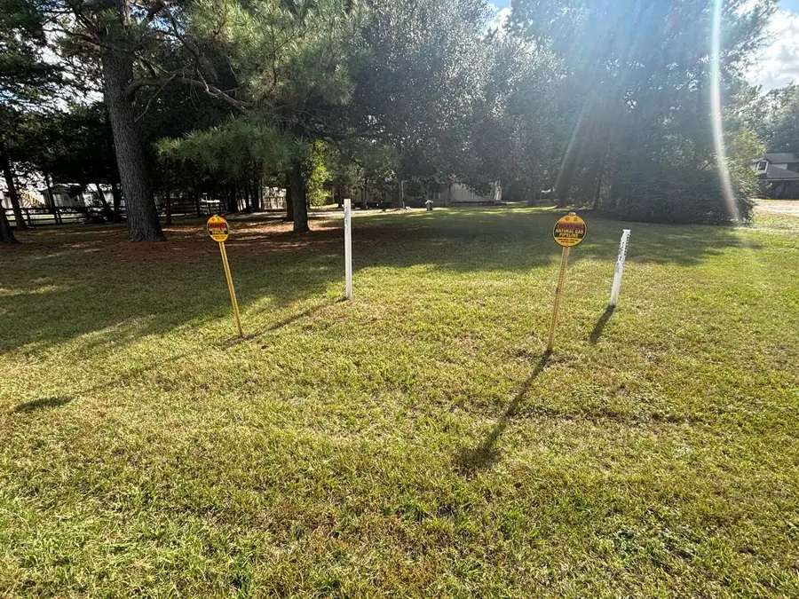 23411 Beau Forest Lane, Hockley, TX 77447 - Image #2