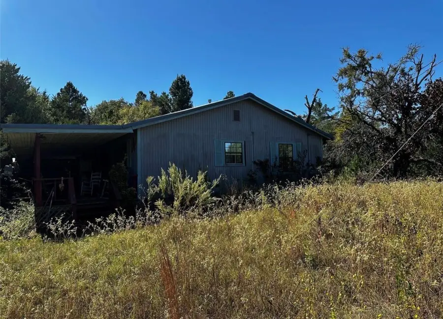 285 Private Road 3420, Jewett, TX 75846 - #3