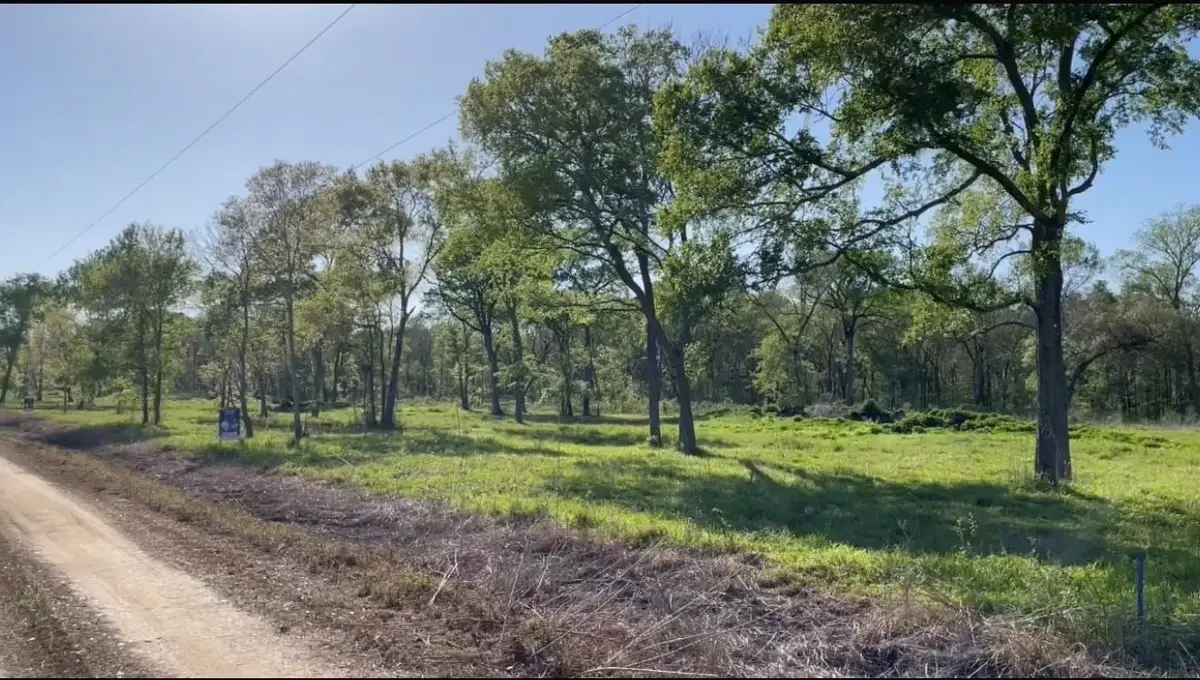 TBD Lot 1 County Road 136, Wharton, TX 77488 - #1