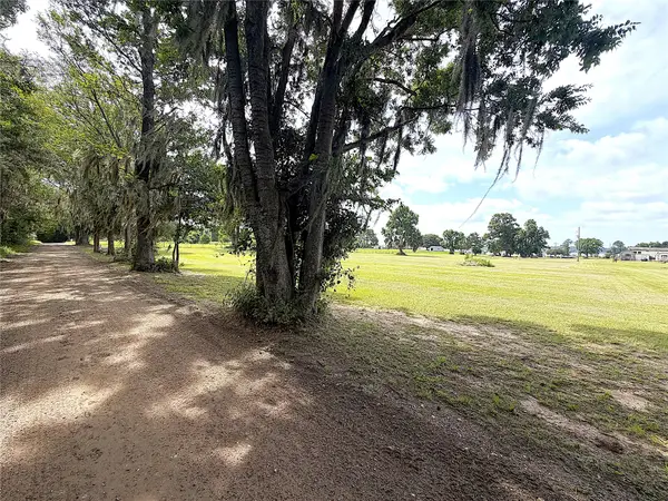 247 S Skains Chapel Road, Trinity, TX 75862