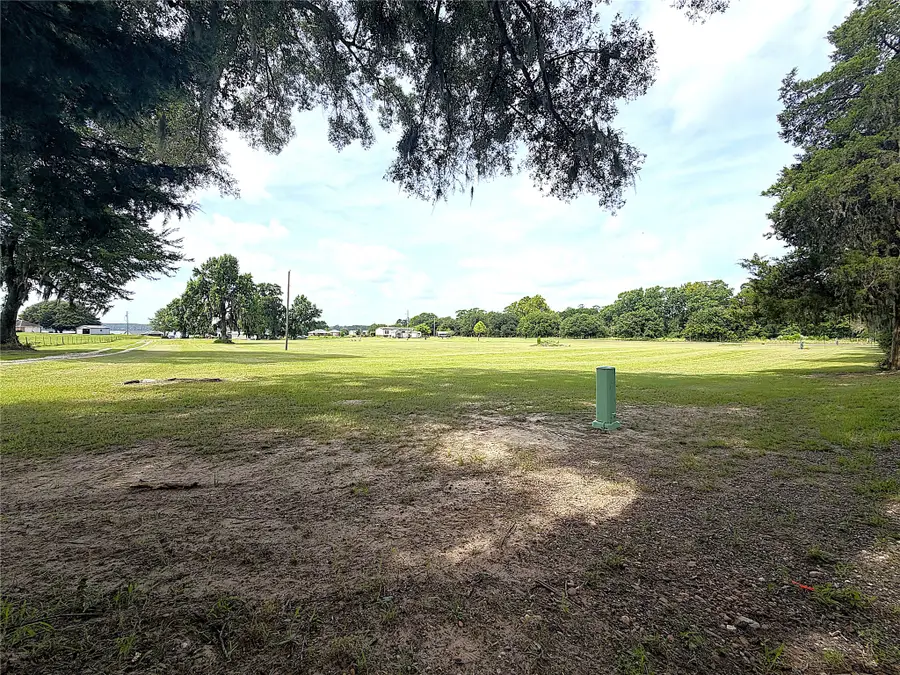 247 S Skains Chapel Road, Trinity, TX 75862 - #2