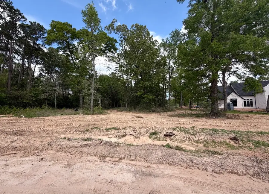 2425 Lonely Creek Circle, Montgomery, TX 77316 - #2