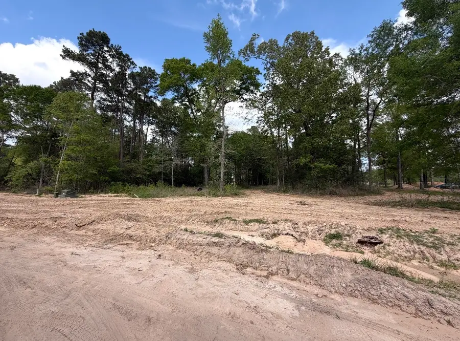 2425 Lonely Creek Circle, Montgomery, TX 77316 - #3