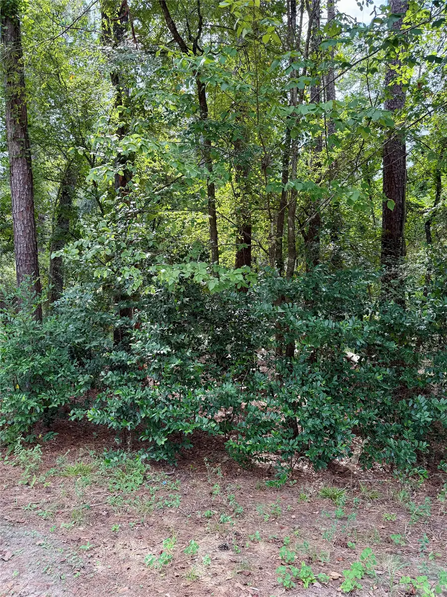 0 Cottonwood Cove Lane, Spring, TX 77380 - #2
