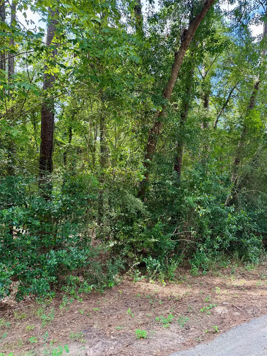 0 Cottonwood Cove Lane, Spring, TX 77380 - #3