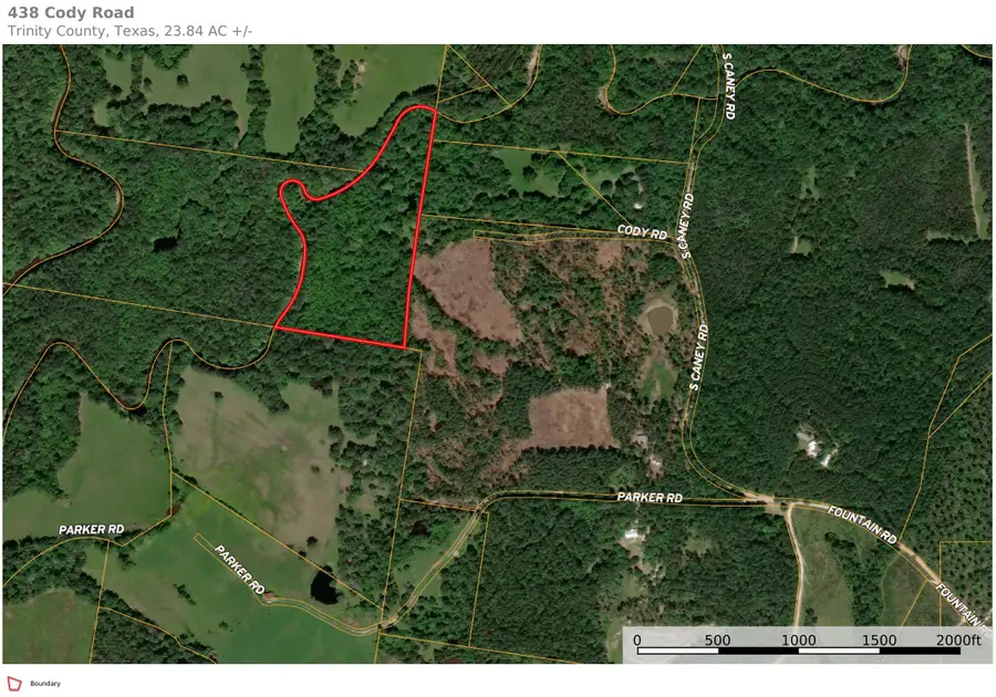 438 Cody Road, Groveton, TX 75845 - #2