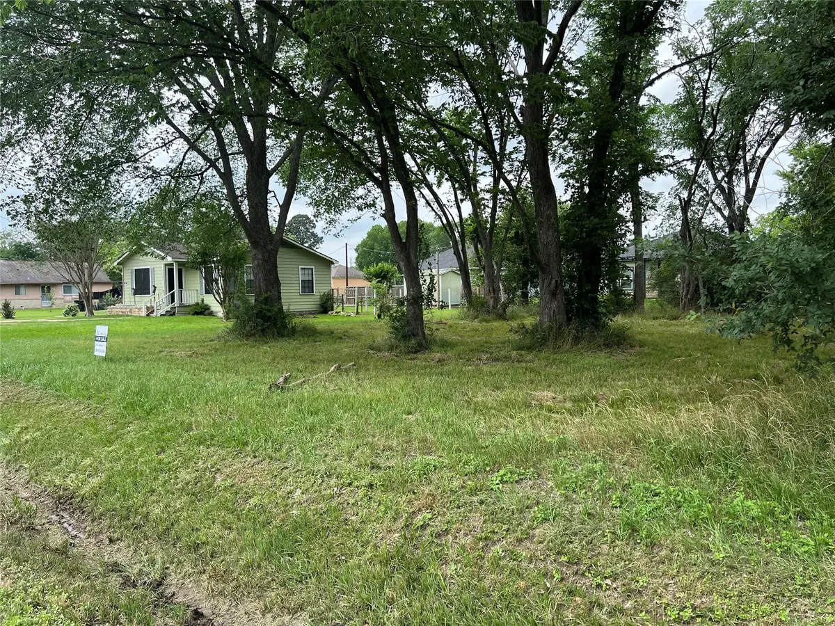 3990 1st Street, Brookshire, TX 77423 - #1
