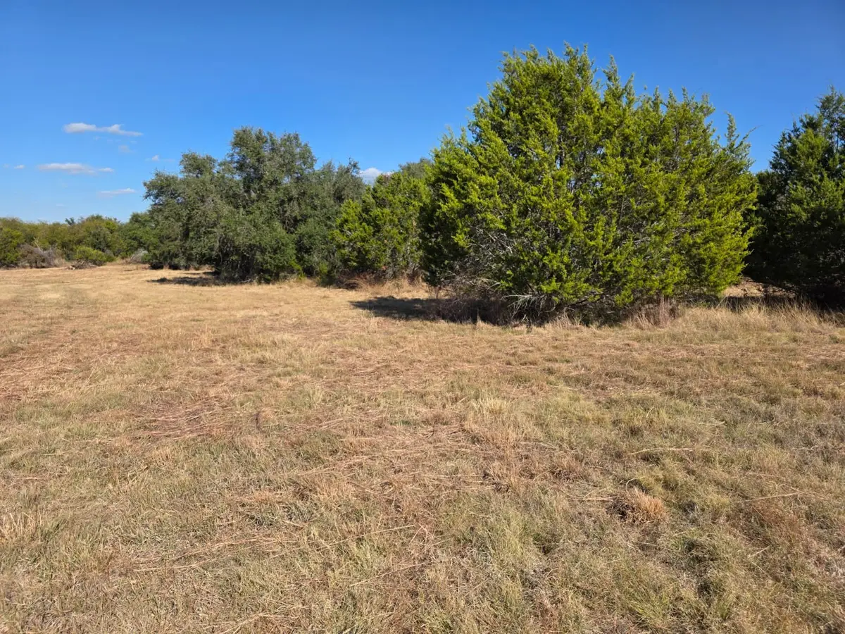 TBD Avila Ln, Briggs, TX 78608 - Image #1