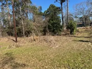 171 Cherry Tree, Livingston, TX 77351