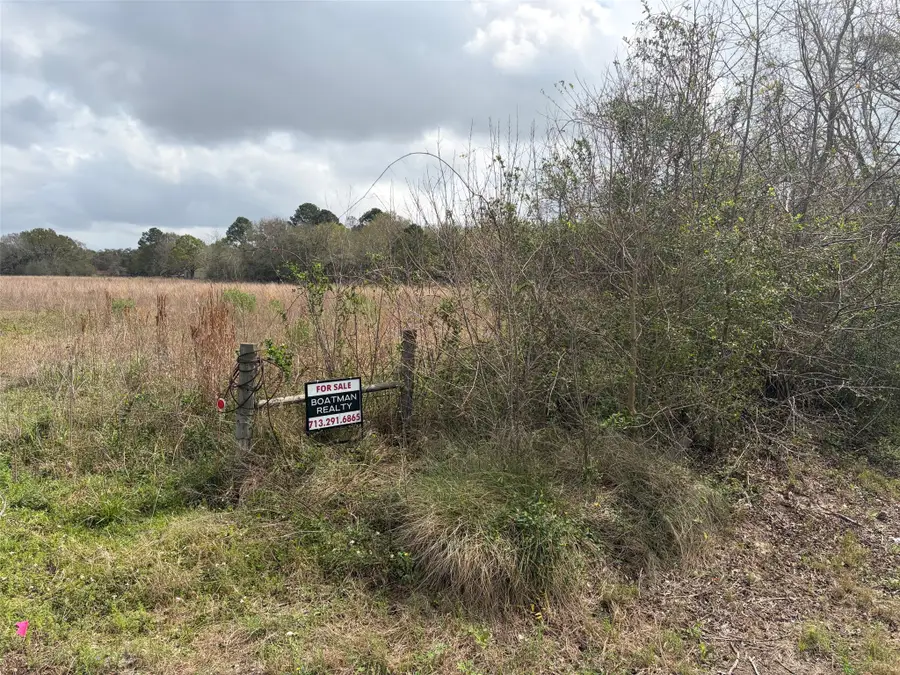 10003 Hanselman Road, Manvel, TX 77578 - #2