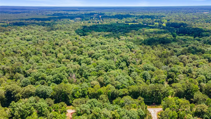 TBD Road 2746, Cleveland, TX 77327 - #2