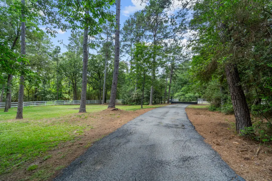 19610 Timber Ridge Drive, Magnolia, TX 77355 - #3