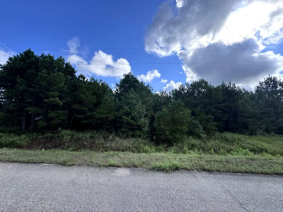 4546 N Duck Creek Road, Cleveland, TX 77328 - #3