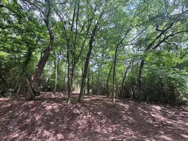 TBD5 Spreading Oak, Trinity, TX 75862