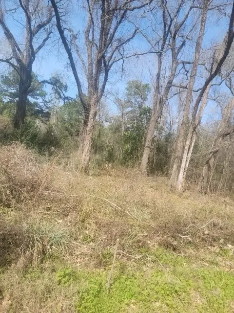 0 Tbd River Street Street, Coldspring, TX 77331