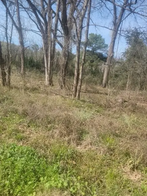 0 Tbd River Street Street, Coldspring, TX 77331 - #3