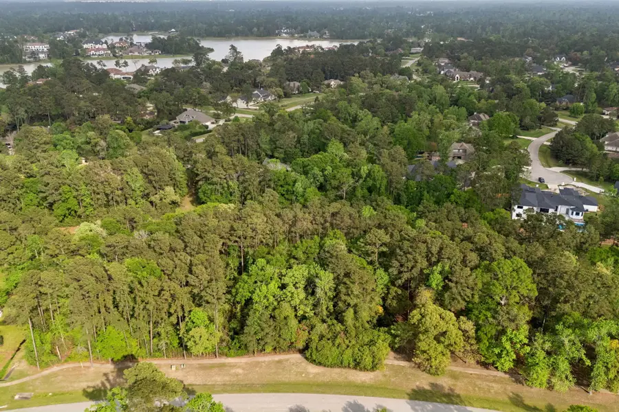 27318 Whispering Maple Way, Spring, TX 77386 - #3