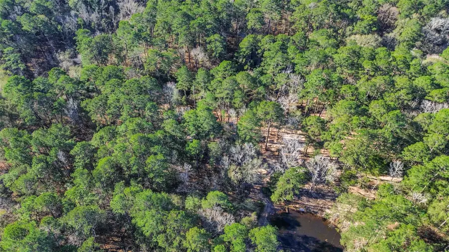 0 Magnolia Drive, Cleveland, TX 77328 - Image #2