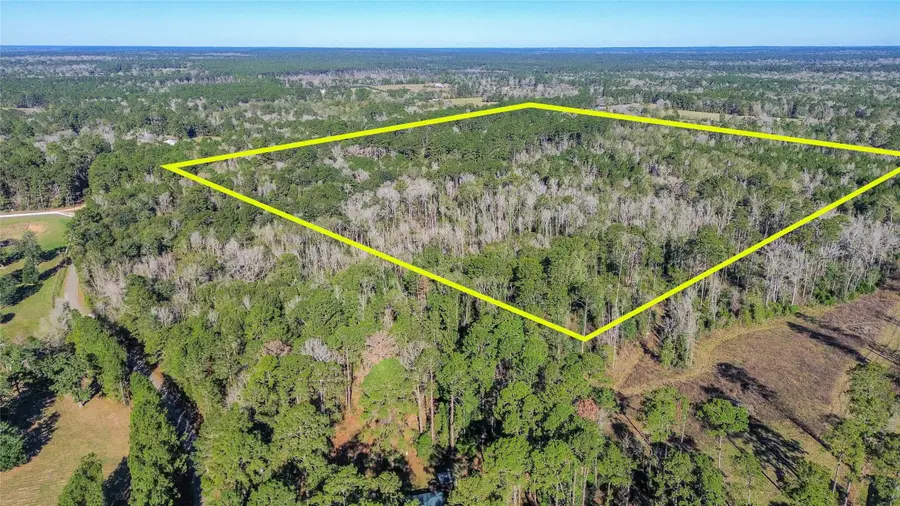 0 Magnolia Drive, Cleveland, TX 77328 - Image #3