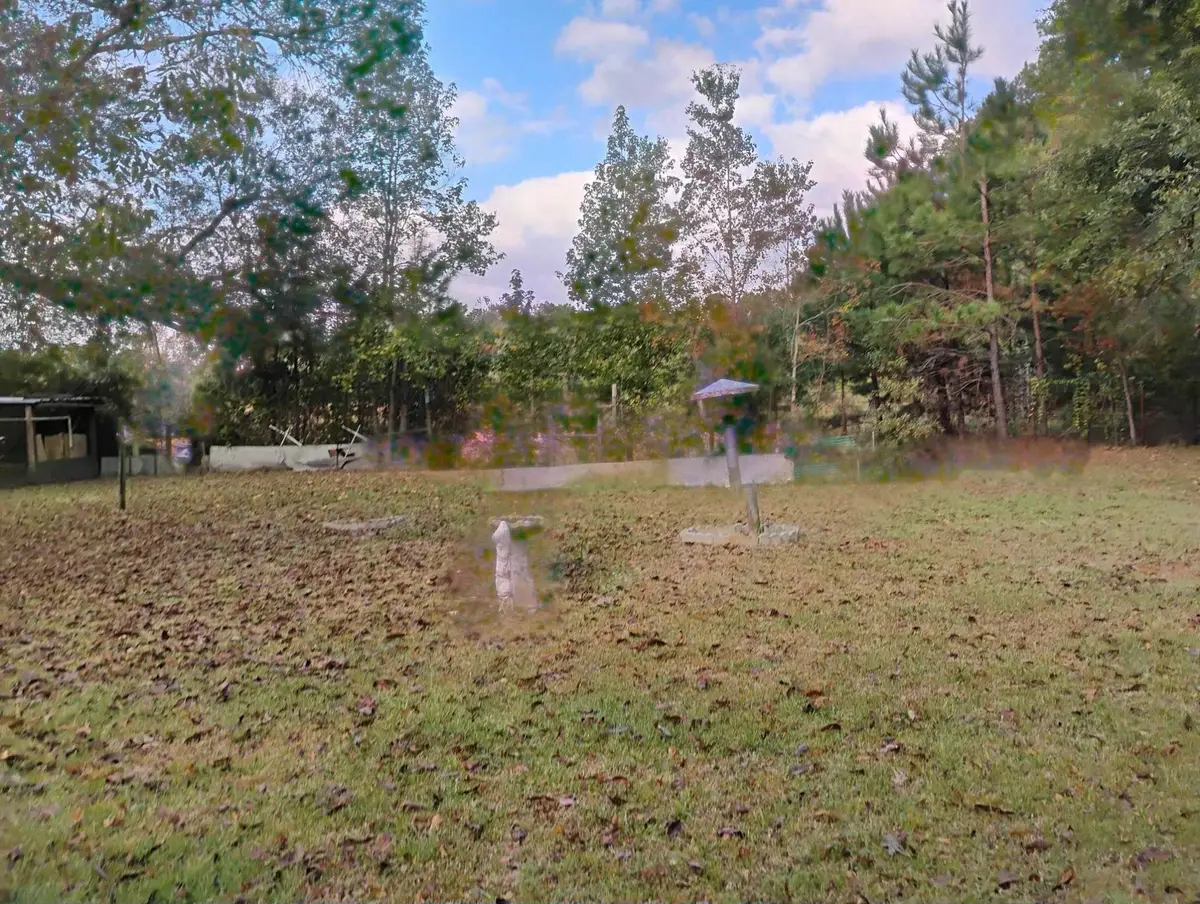 389 Rockdale, Livingston, TX 77351 - Image #1