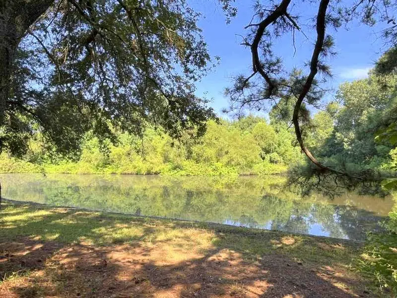1384 E Fm 2712, Crockett, TX 75835 - #1