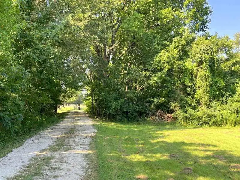 1384 E Fm 2712, Crockett, TX 75835 - #3