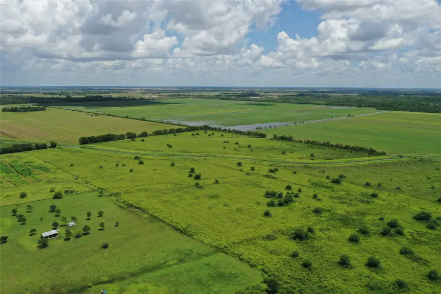 Tract 3 County Road 8, Guy, TX 77444 - #2