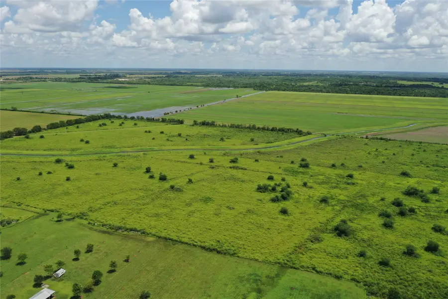Tract 3 County Road 8, Guy, TX 77444 - #3