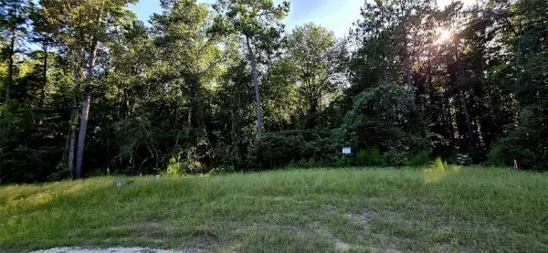 107 Romantic Dreams Ct Court, Huntsville, TX 77340