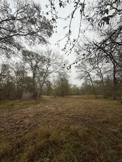 0 Tierra Grande Drive, Needville, TX 77461 - #3