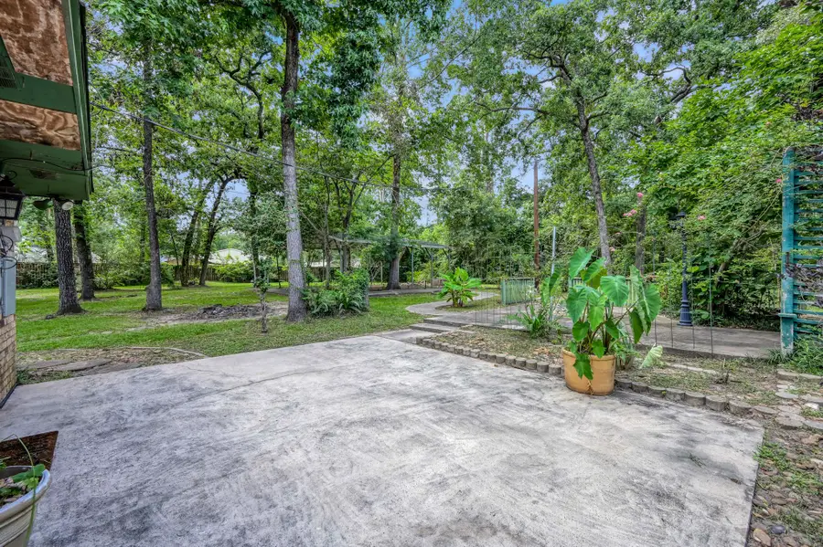 2207 Arendale Lane, Spring, TX 77386 - #3