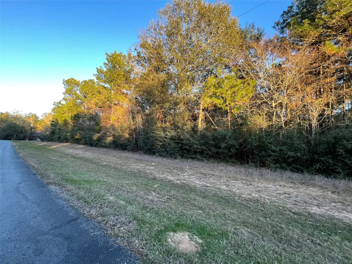 28921 Mustang Drive, Waller, TX 77484 - #1