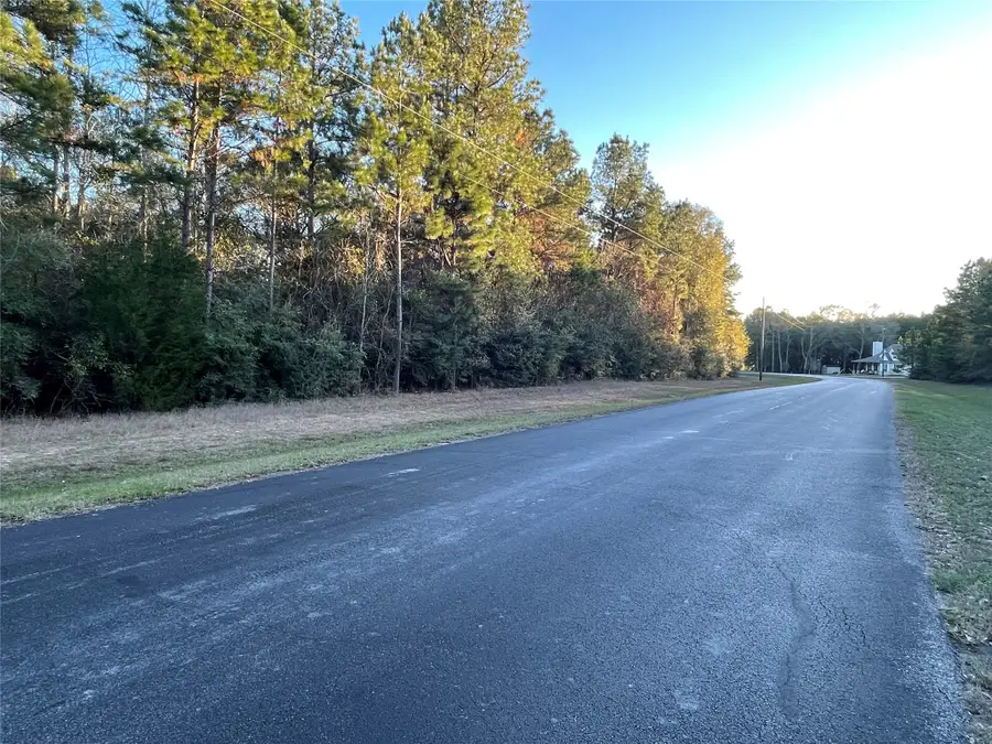 28921 Mustang Drive, Waller, TX 77484 - #2