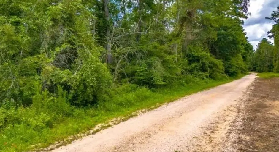 1176 Plum Pudding Road, Livingston, TX 77351 - #1