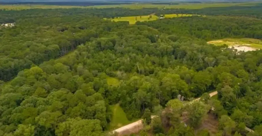 1176 Plum Pudding Road, Livingston, TX 77351 - #2