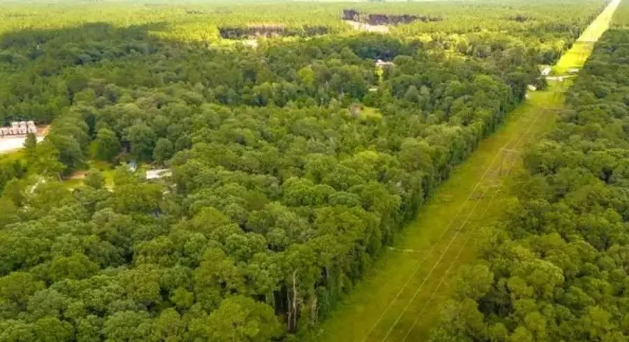 1176 Plum Pudding Road, Livingston, TX 77351 - #3