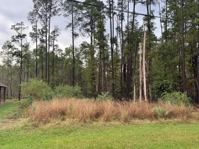 10 Trail Lake, Trinity, TX 75862 - Image #3