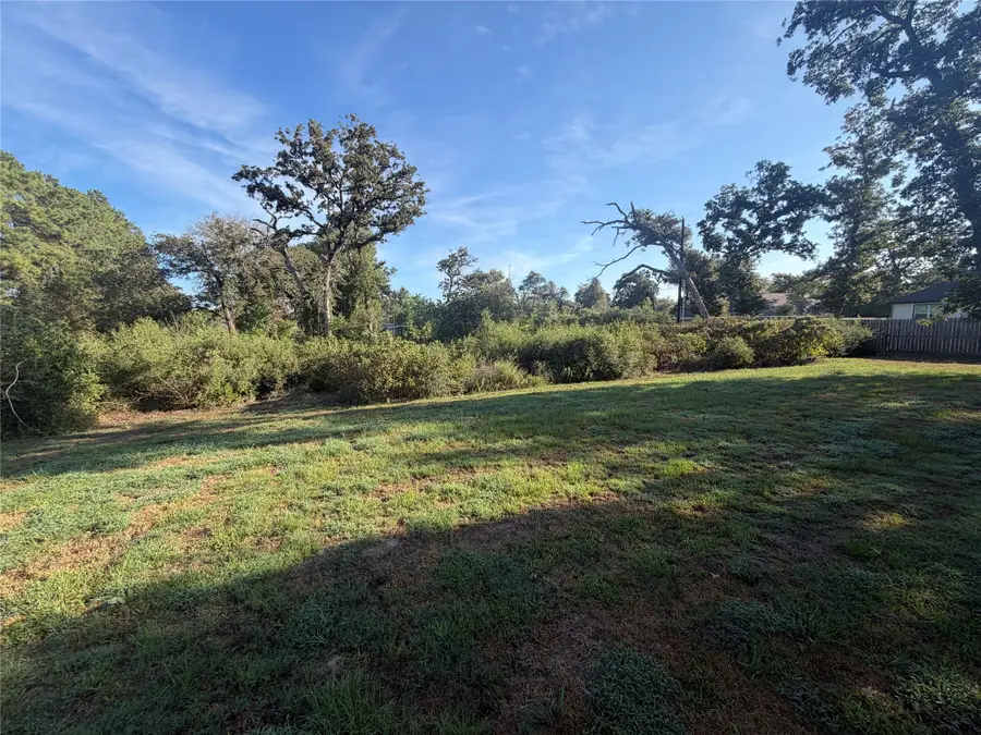 26239 Lakeshore Drive, Hempstead, TX 77445 - #2